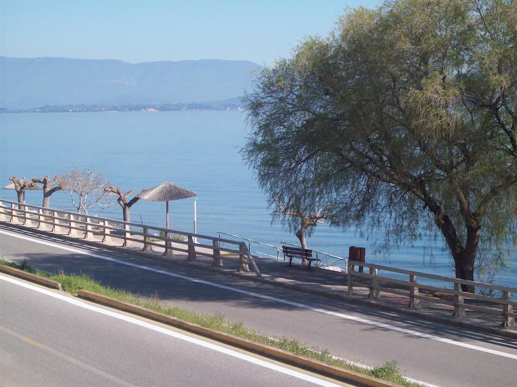 ホテルOlga Agios Konstantinos  エクステリア 写真